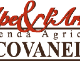 Immagine 2 di MIELE DI ALTA QUALITA' D'ABRUZZO