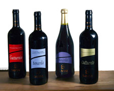 Immagine 1 di COLLI PIACENTINI GUTTURNIO SUPERIORE D.O.C. SAVINI VINI