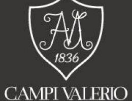 Immagine 2 di PENTRO ROSSO D.O.C. DI CAMPI VALERIO