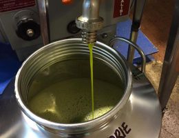 Immagine 4 di OLIO EXTRAVERGINE DI OLIVA D.O.P. SARDEGNA BLEND DI CATEGORIA SUPERIORE