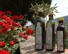 Immagine 1 di OLIO EXTRAVERGINE DI OLIVA BIO BLEND DI QUALITA' SUPERIORE