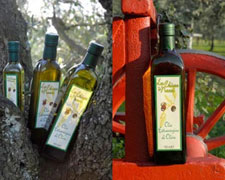 Immagine 1 di OLIO EXTRAVERGINE DI OLIVA BLEND DI ALTA QUALITA'