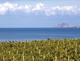 Immagine 4 di ISOLA DEI NURAGHI ROSSO I.G.T. BUIO BUIO