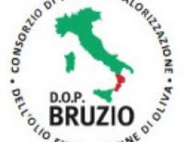Immagine 1 di OLIO EXTRAVERGINE  DI OLIVA D.O.P. BRUZIO