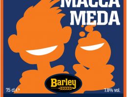 Immagine 1 di MACCA MEDE STILE AMERICAN AMBER ALE