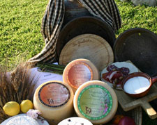 Immagine 1 di PECORINO SENZA LATTOSIO