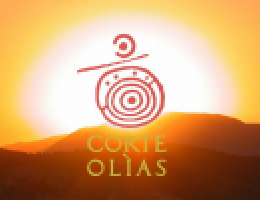 Immagine 2 di OLIO EXTRAVERGINE DI OLIVA SARDEGNA D.O.P. CULTIVAR BOSANA CATEGORIA SUPERIORE