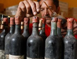 Immagine 3 di VILLA DI CAPEZZANA CARMIGNANO D.O.C.G.