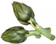 Immagine 1 di CARCIOFO TARDIVO DI SAN LUCA