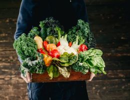 Immagine 2 di CARCIOFO TARDIVO DI SAN LUCA