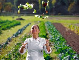 Immagine 4 di CARCIOFO TARDIVO DI SAN LUCA