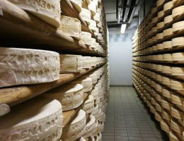 Immagine 4 di PUZZONE DI MOENA D.O.P. CASIFICIO SOCIALE DI PREDAZZO E MOENA