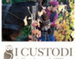 Immagine 3 di ETNA ROSATO D.O.C. ALNUS