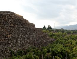 Immagine 5 di ETNA ROSATO D.O.C. ALNUS