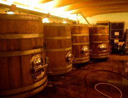 Immagine 3 di VENEZIA GIULIA I.G.T. RIBOLLA GIALLA I BLU RADIKON