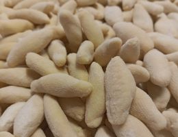 Immagine 3 di RAVOLAS DELLA VAL VARAITA CON TOUMIN DAL MEL MB PASTIFICIO