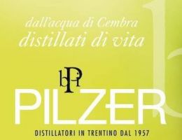 Immagine 2 di PILZER BRANDY PORTEGNAC 9 DISTILLERIA PILZER
