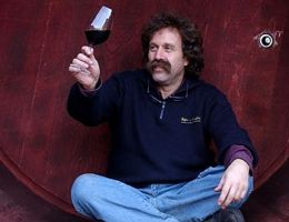 Immagine 1 di VIGNE DELLE DOLOMITI I.G.T. PINOT NERO SELEZIONE RODEL PIANEZZI POJER & SANDRI