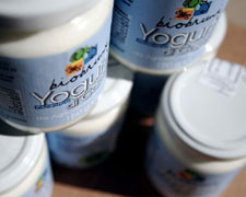 Immagine 1 di YOGURT DI CAPRA DI QUALITA' CASEIFICIO AGRI BIO BRUNI