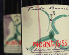 Immagine 1 di LAMBRUSCO MANTOVANO D.O.P. INCANTABISS  AGRI FONDO BOZZOLE