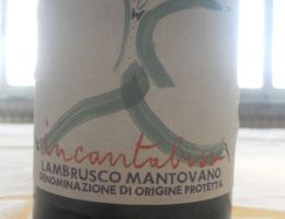Immagine 2 di LAMBRUSCO MANTOVANO D.O.P. INCANTABISS  AGRI FONDO BOZZOLE