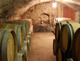 Immagine 3 di SICILIA ROSSO I.G.T. SANTA.NE' AGRI PALARI VINI