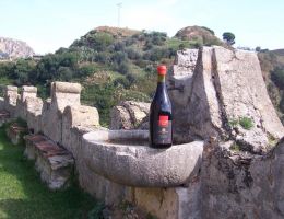 Immagine 5 di SICILIA ROSSO I.G.T. SANTA.NE' AGRI PALARI VINI