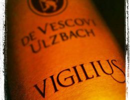 Immagine 2 di TEROLDEGO ROTALIANO D.O.C. VIGILIUS DE VESCOVI ULZBACH VINI