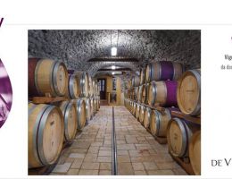 Immagine 4 di TEROLDEGO ROTALIANO D.O.C. VIGILIUS DE VESCOVI ULZBACH VINI