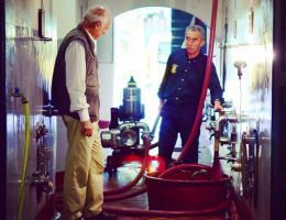 Immagine 4 di SAN LEONARDO TENUTA SAN LEONARDO