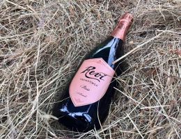 Immagine 2 di TRENTO D.O.C. ROSE' REVI SPUMANTE REVI