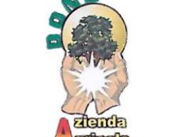 Immagine 2 di PROSCIUTTO CRUDO DI SUINO  NERO DEI NEBRODI