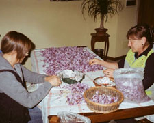 Immagine 1 di Zafferano della Valcomino