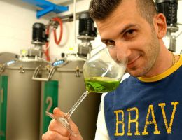 Immagine 2 di OLIO EXTRAVERGINE DI OLIVA CULTIVAR CASALIVA BIO QUALITA' SUPERIORE OLICRU