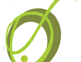 Immagine 4 di OLIO EXTRAVERGINE DI OLIVA CULTIVAR CASALIVA BIO QUALITA' SUPERIORE OLICRU