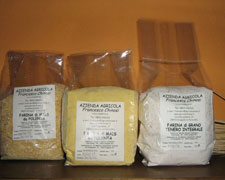 Immagine 1 di GRANO TENERO INTEGRALE