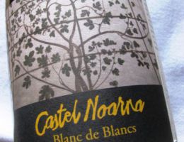 Immagine 1 di TRENTO D.O.C. BLANC DE BLANCS  SPUMANTE BRUT METODO CLASSICO CASTEL NOARNA