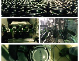 Immagine 2 di TRENTO D.O.C. MOSER 51,151 CHARDONNAY BRUT METODO CLASSICO MOSER TRENTO VINI