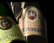 Immagine 1 di ARUNDA PARLEIN A.A. CUVEE D.O.C. BIO. BRUT METODO CLASSICO