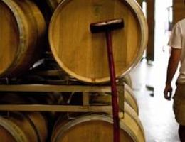 Immagine 2 di VIGNETI DELLE DOLOMITI I.G.T. MANZONI BIANCO CESCONI VINI