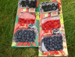 Immagine 4 di FRAGOLE E PICCOLI FRUTTI