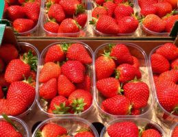 Immagine 5 di FRAGOLE E PICCOLI FRUTTI