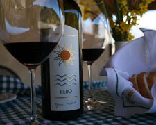 Immagine 1 di VINO SANTO DEL TRENTINO GINO PEDROTTI VINI