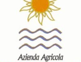 Immagine 2 di VINO SANTO DEL TRENTINO GINO PEDROTTI VINI