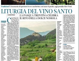 Immagine 3 di VINO SANTO DEL TRENTINO GINO PEDROTTI VINI
