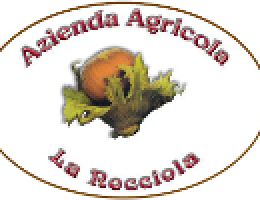 Immagine 2 di TORTA REGINA CON NOCCIOLA I.G.P. PIEMONTE AGRI LA NOCCIOLA