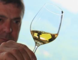 Immagine 1 di GRAPPA RITOCCHI NEL TEMPO DISTILLERIA CASIMIRO