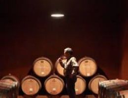 Immagine 5 di STRAVINO DI STRAVINO LINEA LE ESPRESSIONI PRAVIS VINI