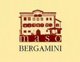 Immagine 1 di TRENTO D.O.C. BRUT RISERVA METODO CLASSICO TERRE BASALTICHE BIO ​​​​​​​MASO BERGAMINI