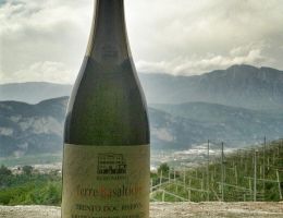 Immagine 2 di TRENTO D.O.C. BRUT RISERVA METODO CLASSICO TERRE BASALTICHE BIO ​​​​​​​MASO BERGAMINI